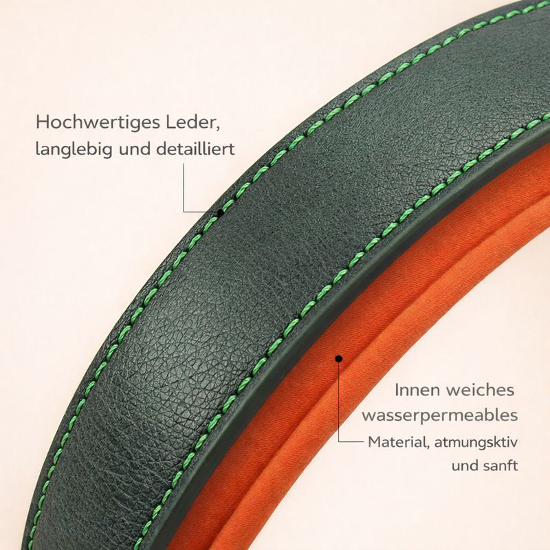 Personalisiertes Hundehalsband