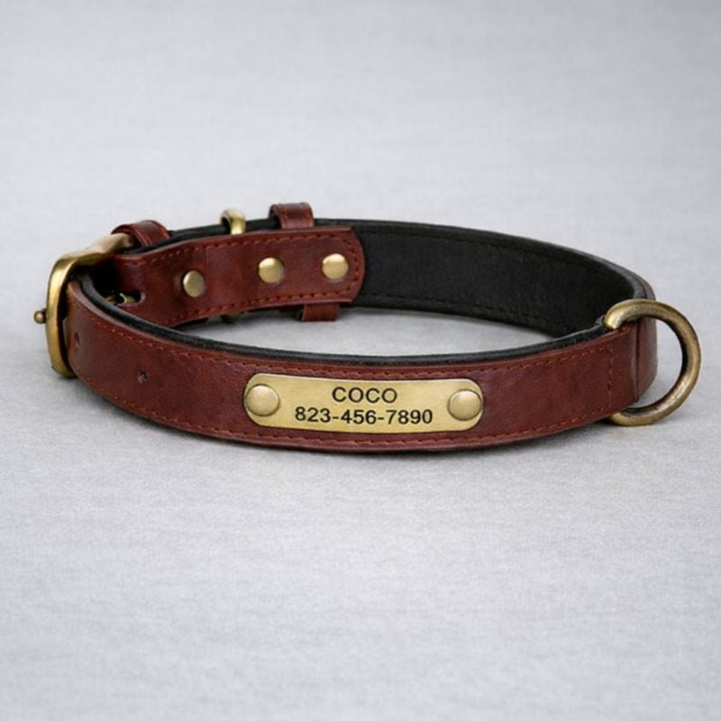 Personalisiertes Hundehalsband