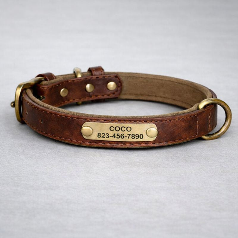 Personalisiertes Hundehalsband