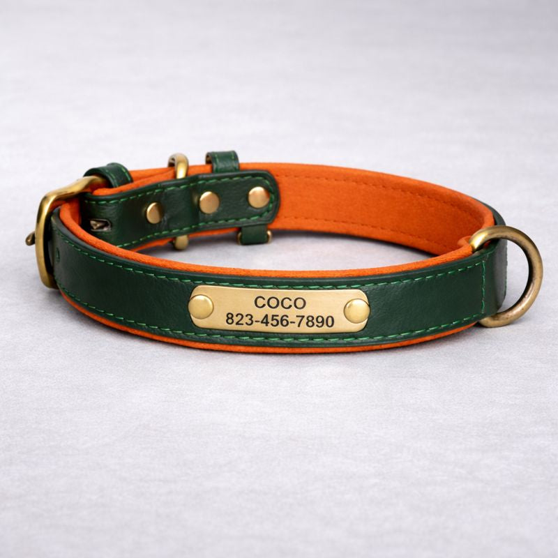 Personalisiertes Hundehalsband