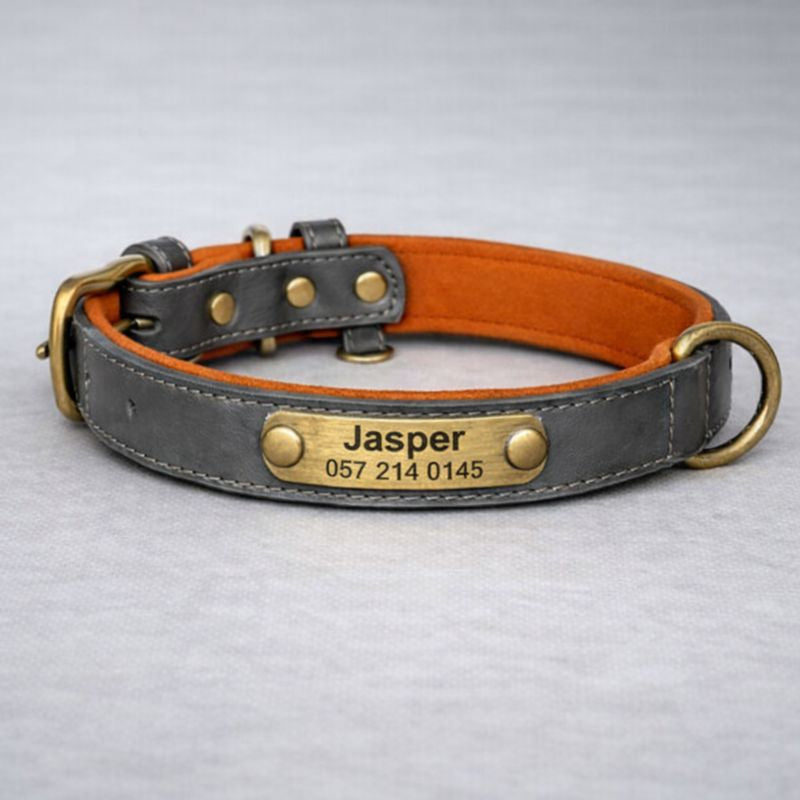 Personalisiertes Hundehalsband