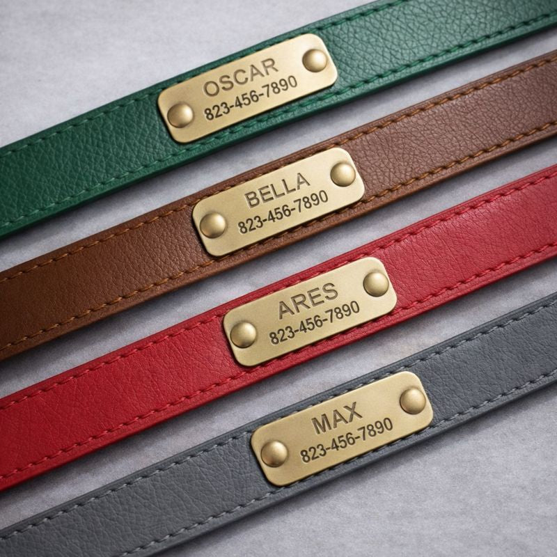 Personalisiertes Hundehalsband