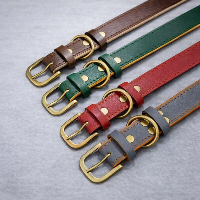 Personalisiertes Hundehalsband