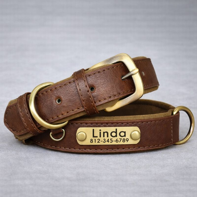 Personalisiertes Hundehalsband