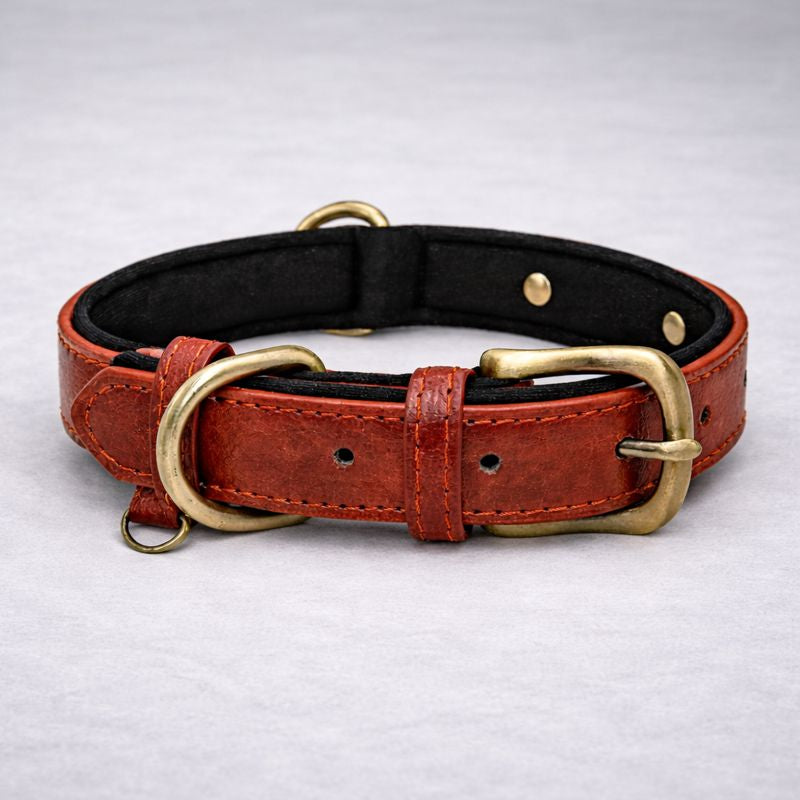 Personalisiertes Hundehalsband