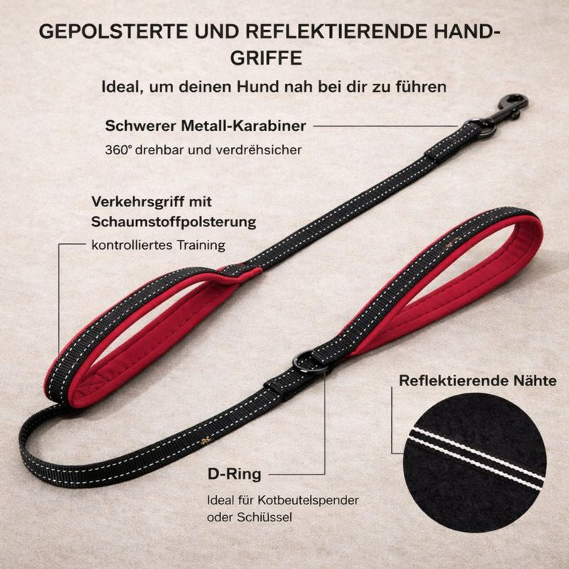 Zugleine mit 2 Griffen