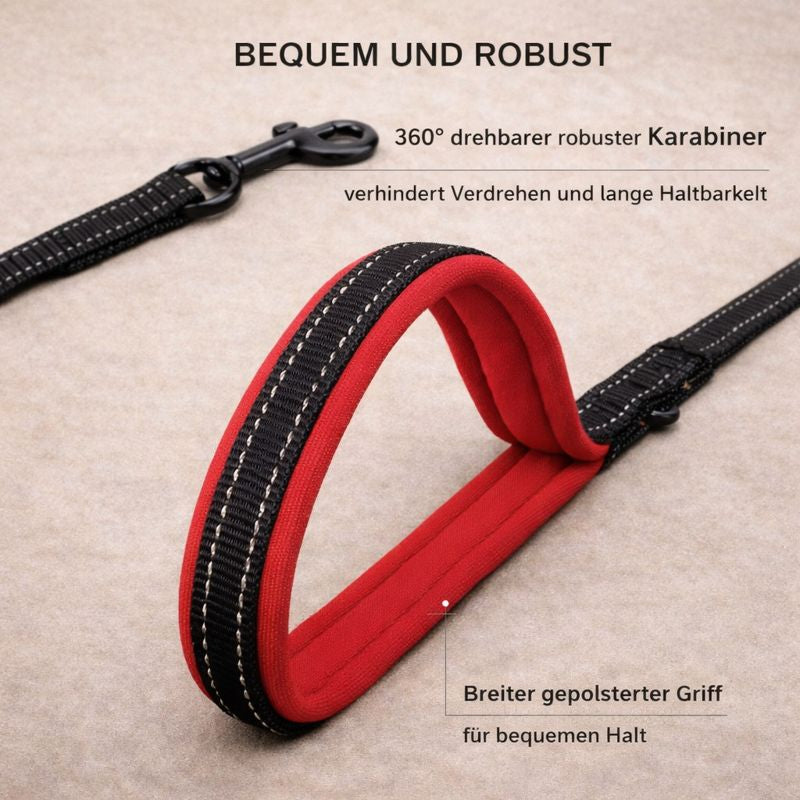 Zugleine mit 2 Griffen